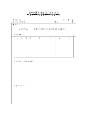 감사의견에 대한 조치결과 보고 감사의견에 대한 조치결과 보고